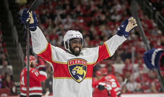 NHL Betting Consensus Florida Panthers vs Carolina Hurricanes Game 4 | Top Stories by Handicapper911.com
